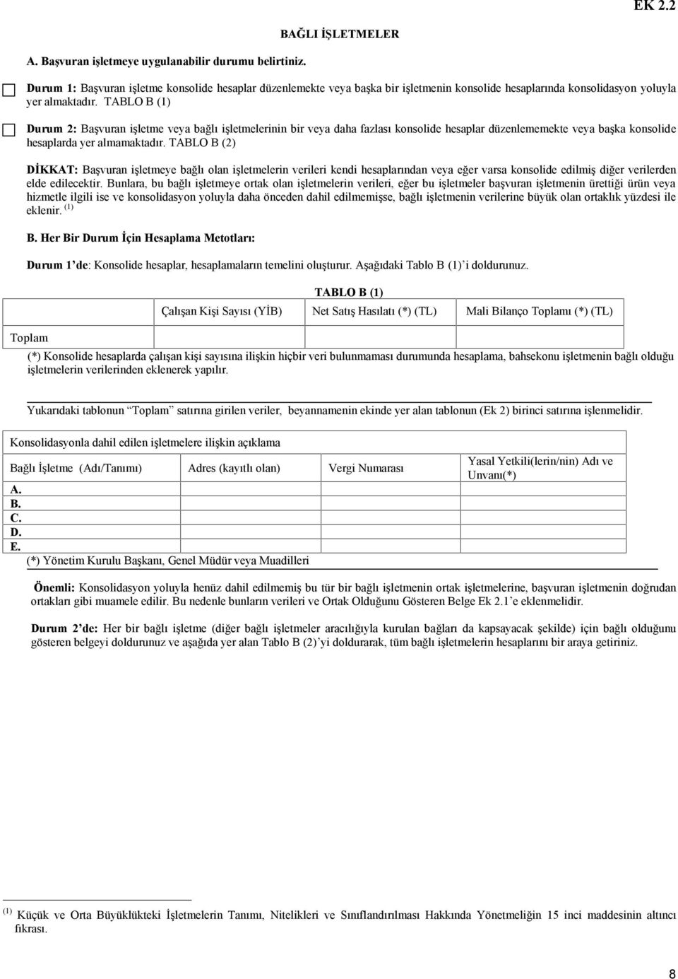 TABLO B (1) Durum 2: Başvuran işletme veya bağlı işletmelerinin bir veya daha fazlası konsolide hesaplar düzenlememekte veya başka konsolide hesaplarda yer almamaktadır.