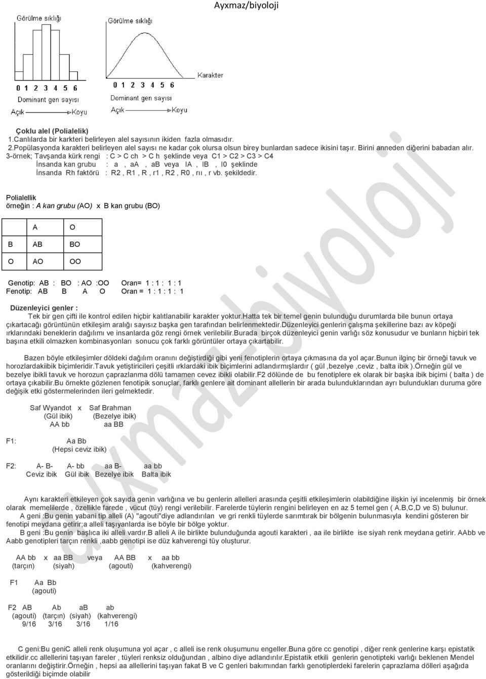 3-örnek; Tavşanda kürk rengi : C > C ch > C h şeklinde veya C1 > C2 > C3 > C4 İnsanda kan grubu : a, aa, ab veya IA, IB, I0 şeklinde İnsanda Rh faktörü : R2, R1, R, r1, R2, R0, rıı, r vb. şekildedir.