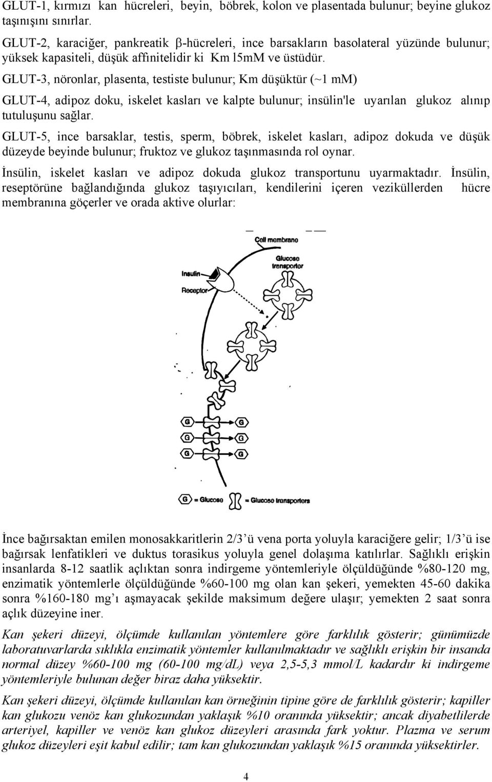 GLUT-3, nöronlar, plasenta, testiste bulunur; Km düşüktür (~1 mm) GLUT-4, adipoz doku, iskelet kasları ve kalpte bulunur; insülin'le uyarılan glukoz alınıp tutuluşunu sağlar.