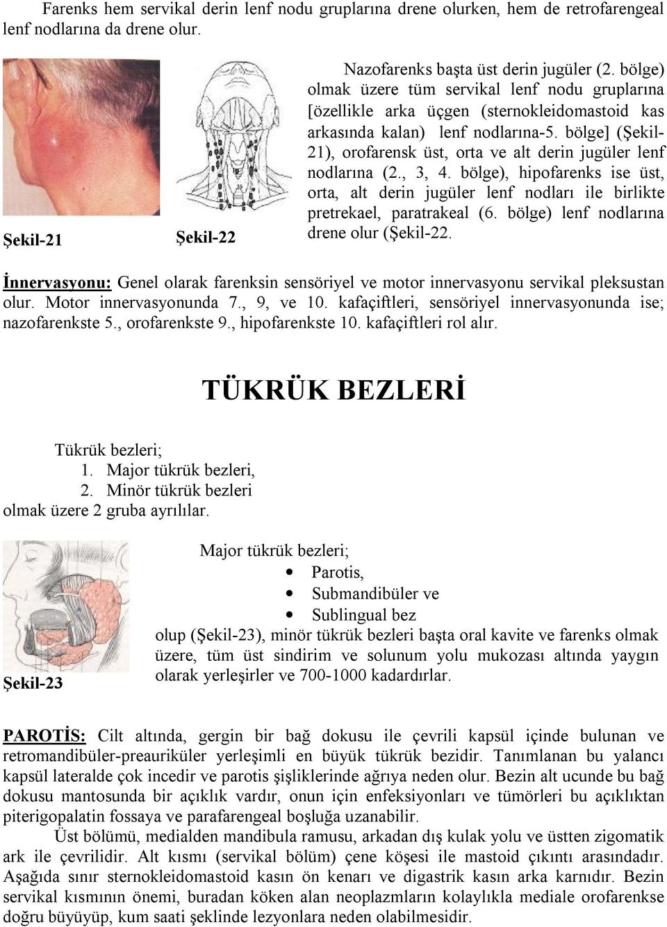 bölge] (Şekil- 21), orofarensk üst, orta ve alt derin jugüler lenf nodlarına (2., 3, 4. bölge), hipofarenks ise üst, orta, alt derin jugüler lenf nodları ile birlikte pretrekael, paratrakeal (6.