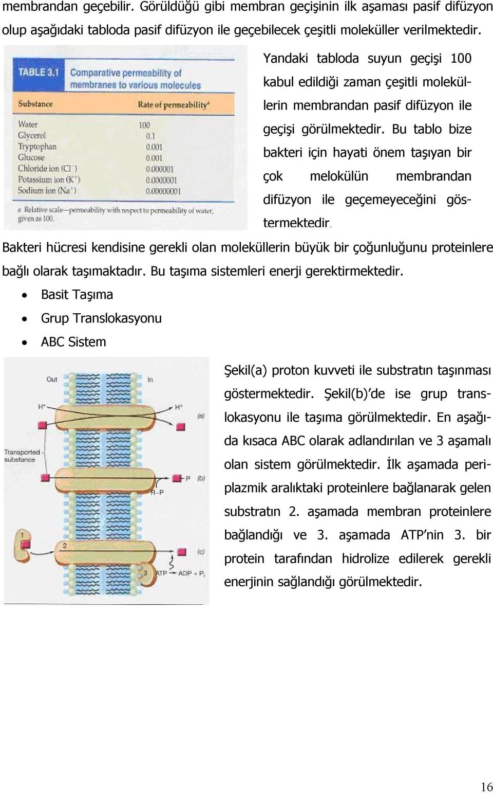 Bu tablo bize bakteri için hayati önem taşıyan bir çok melokülün membrandan difüzyon ile geçemeyeceğini göstermektedir.