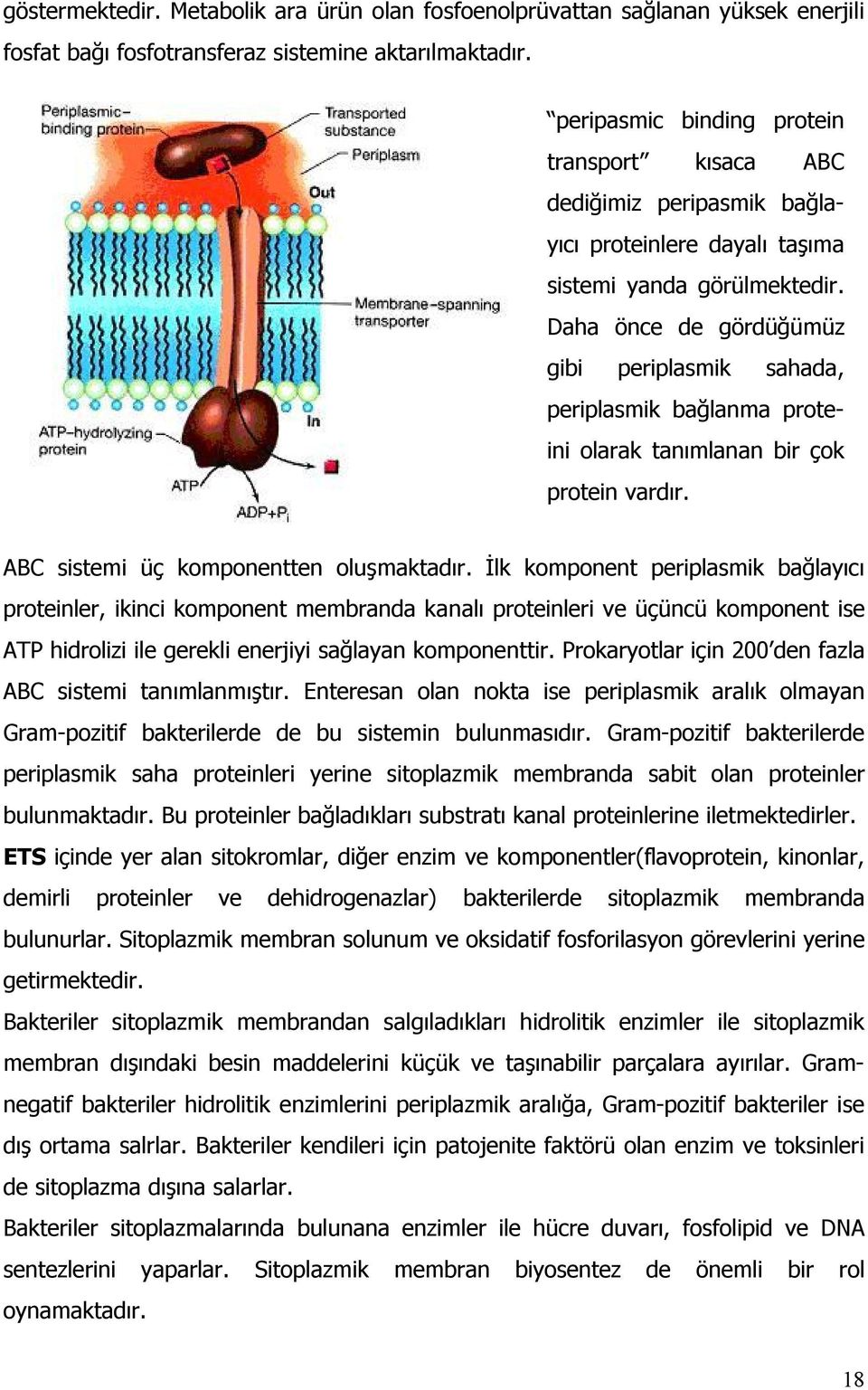 Daha önce de gördüğümüz gibi periplasmik sahada, periplasmik bağlanma proteini olarak tanımlanan bir çok protein vardır. ABC sistemi üç komponentten oluşmaktadır.