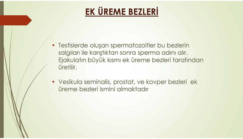 Ejakulatın büyük kısmı ek üreme bezleri tarafından üretilir.