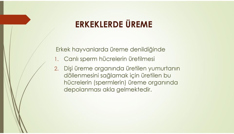 Dişi üreme organında üretilen yumurtanın döllenmesini