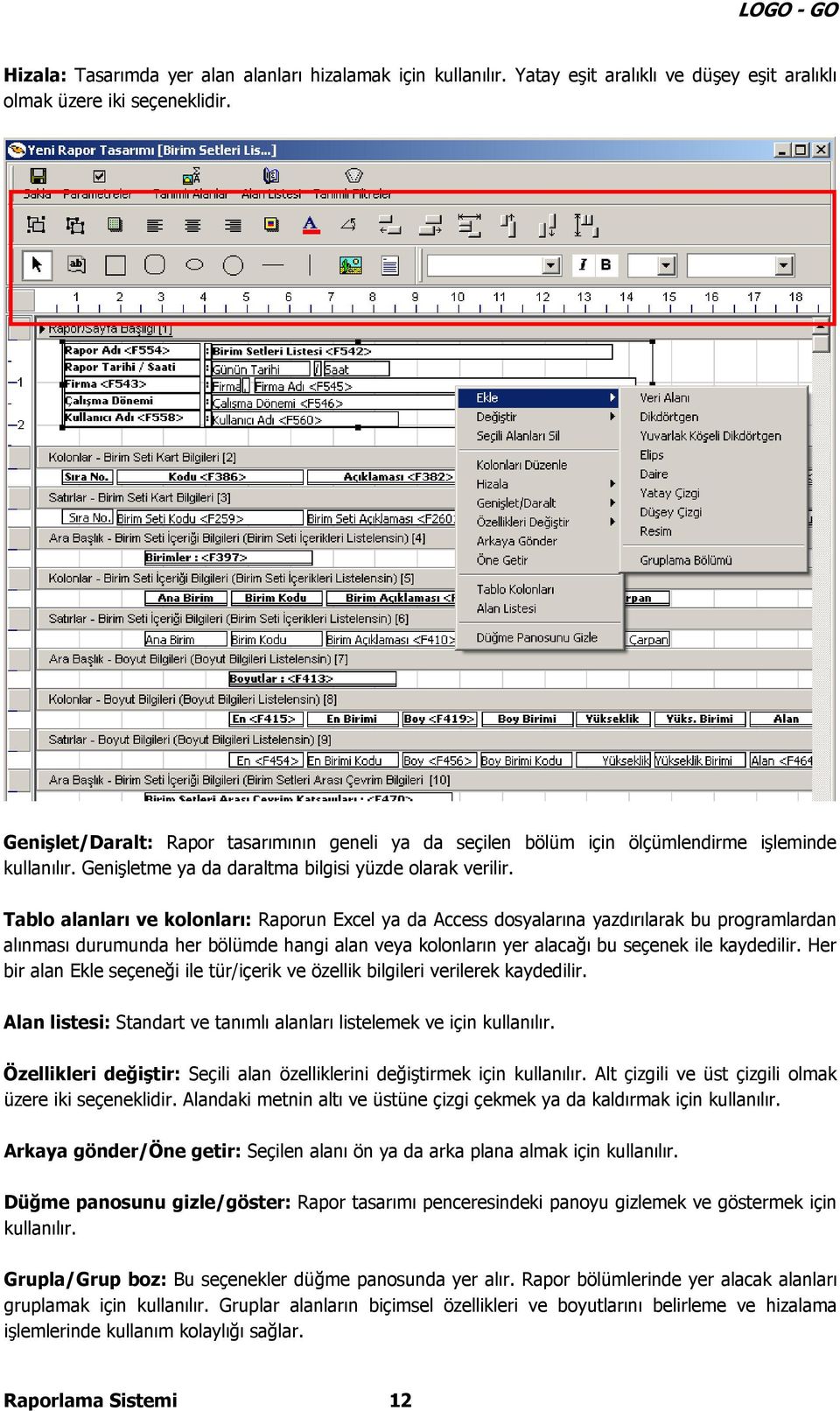 Tablo alanları ve kolonları: Raporun Excel ya da Access dosyalarına yazdırılarak bu programlardan alınması durumunda her bölümde hangi alan veya kolonların yer alacağı bu seçenek ile kaydedilir.