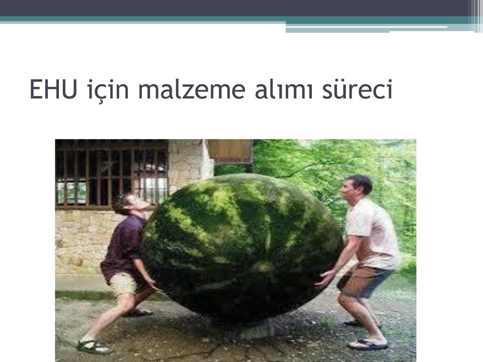 alımı