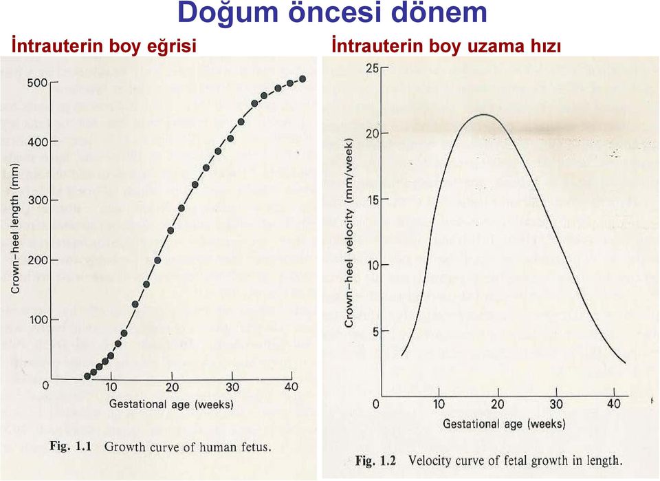 öncesi dönem 