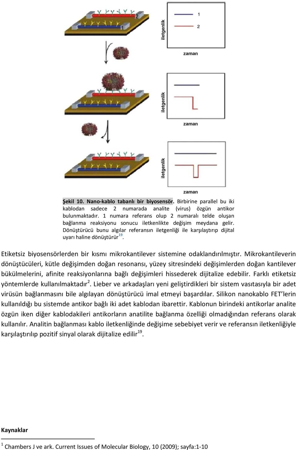 Dönüştürücü bunu algılar referansın iletgenliği ile karşılaştırıp dijital uyarı haline dönüştürür 19. Etiketsiz biyosensörlerden bir kısmı mikrokantilever sistemine odaklandırılmıştır.