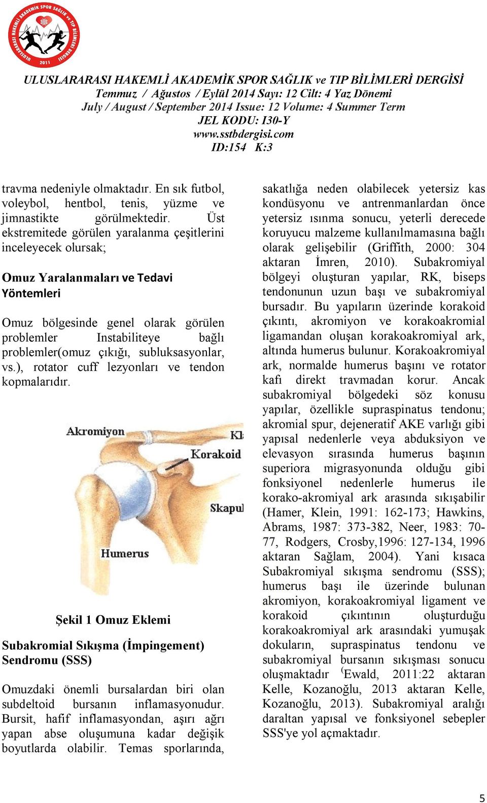 subluksasyonlar, vs.), rotator cuff lezyonları ve tendon kopmalarıdır.