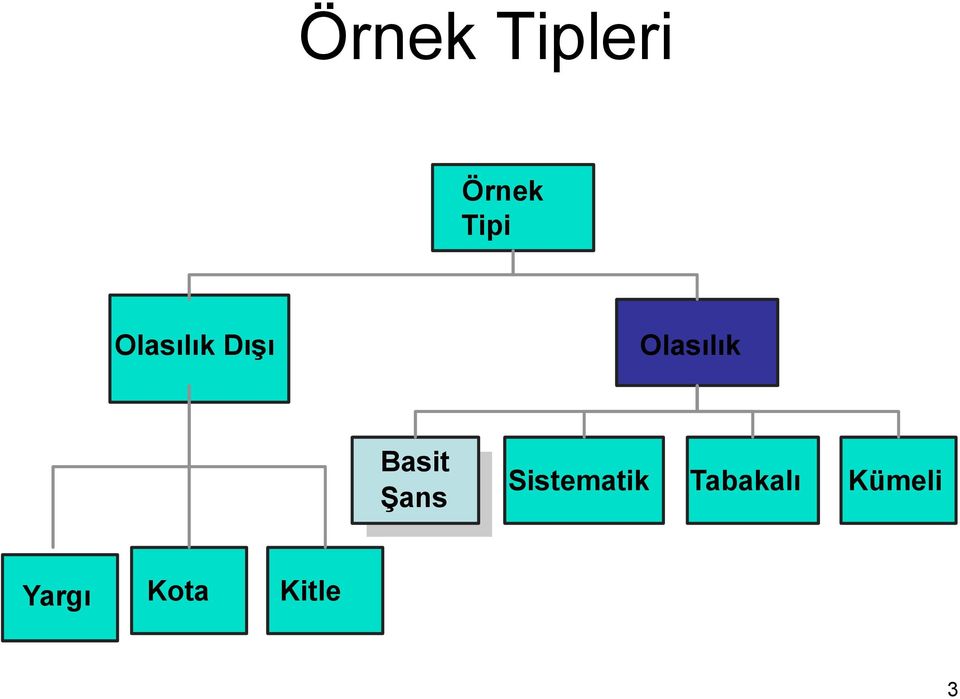 Basit Şas Sistematik