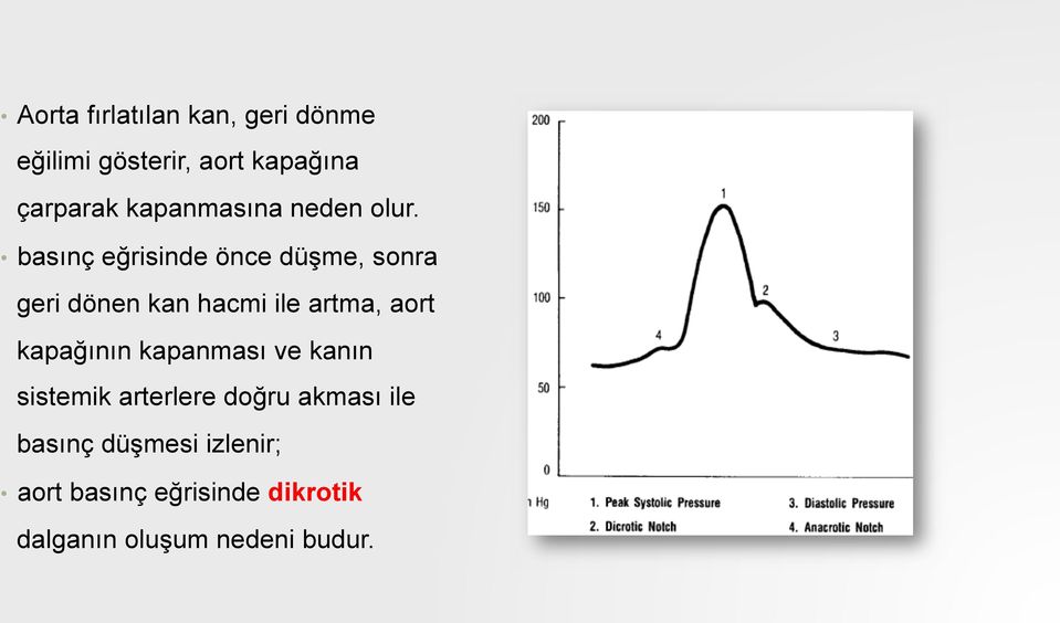 basınç eğrisinde önce düşme, sonra geri dönen kan hacmi ile artma, aort