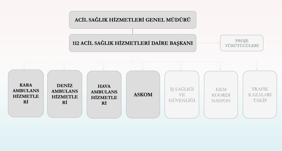 HİZMETLE Rİ DENİZ AMBULANS HİZMETLE Rİ HAVA AMBULANS