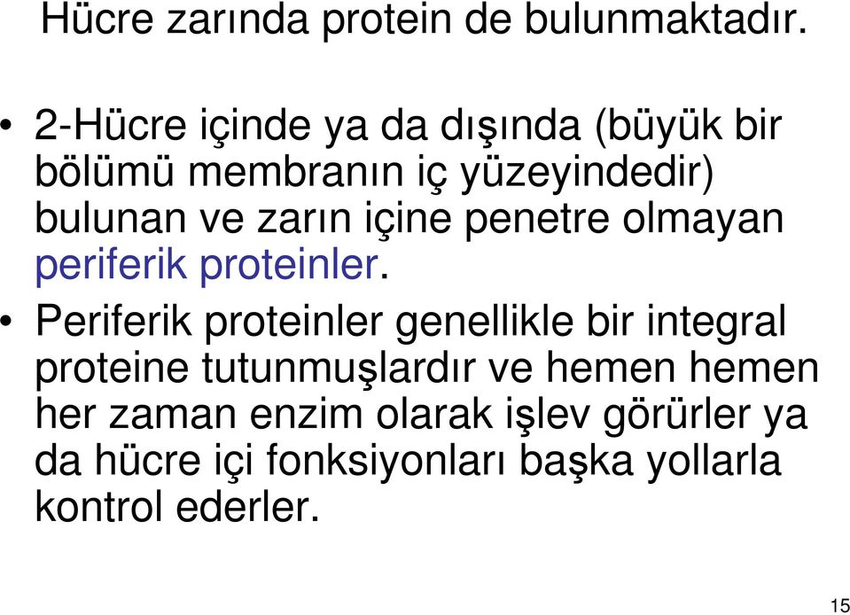 içine penetre olmayan periferik proteinler.