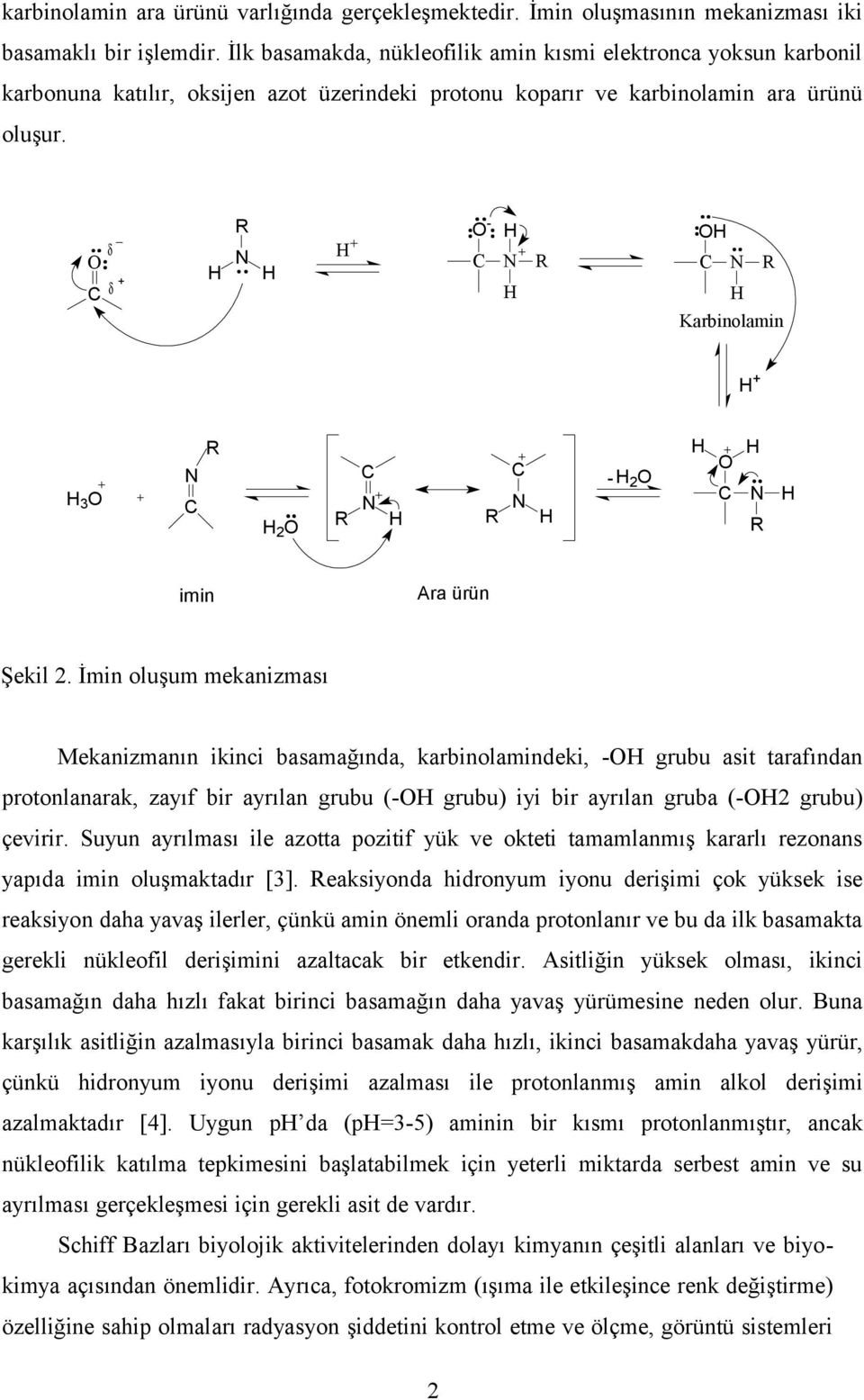 R C δ δ + + C R C R Karbinolamin + R 3 C C C 2 imin R R 2 C R Ara ürün Şekil 2.