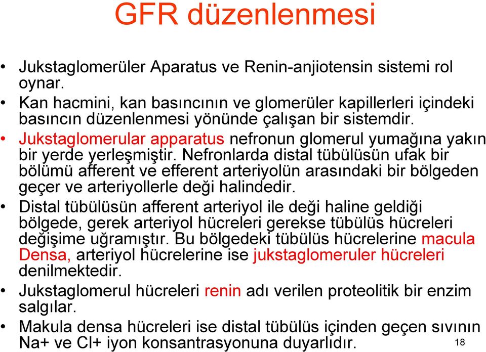 Nefronlarda distal tübülüsün ufak bir bölümü afferent ve efferent arteriyolün arasındaki bir bölgeden geçer ve arteriyollerle deği halindedir.