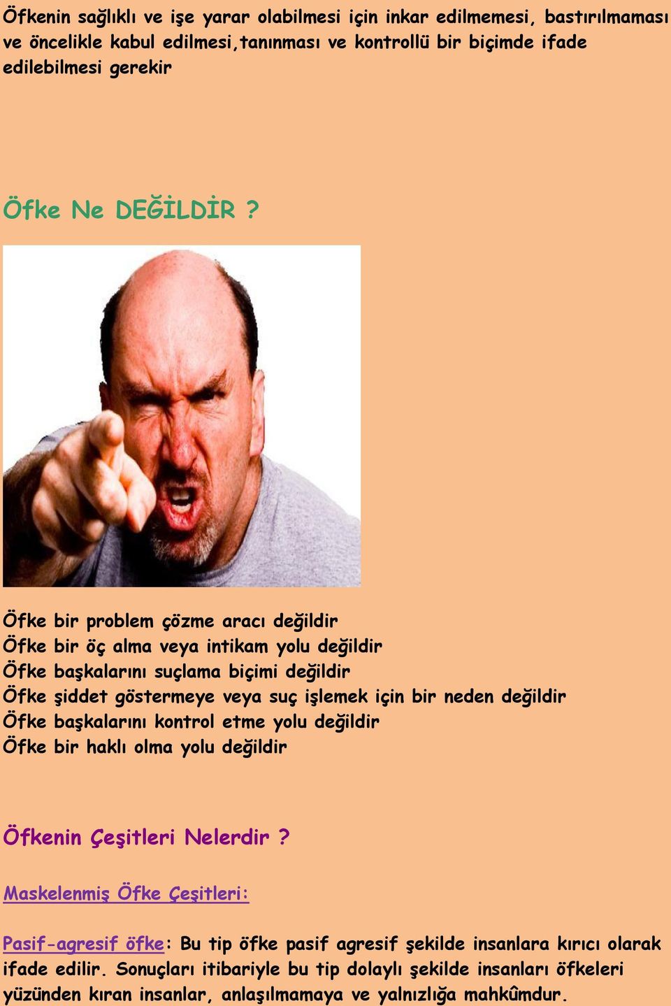 Öfke bir problem çözme aracı değildir Öfke bir öç alma veya intikam yolu değildir Öfke başkalarını suçlama biçimi değildir Öfke şiddet göstermeye veya suç işlemek için bir neden