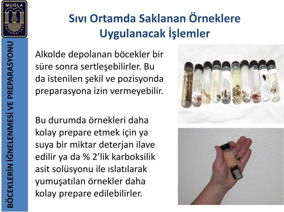 Bu durumda örnekleri daha kolay prepare etmek için ya suya bir miktar deterjan ilave edilir ya