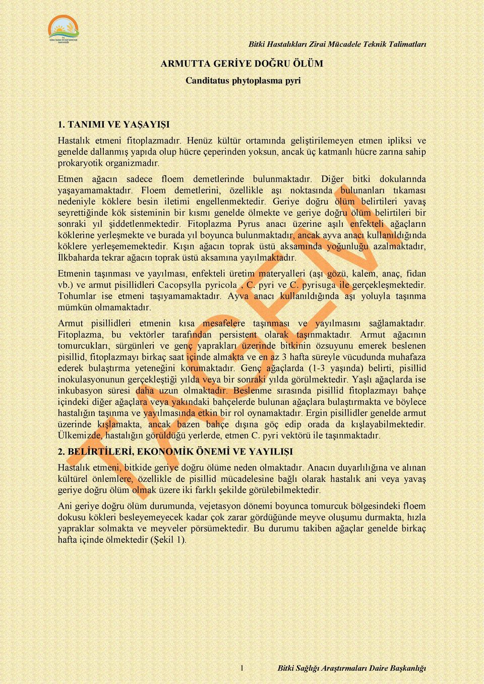 Etmen ağacın sadece floem demetlerinde bulunmaktadır. Diğer bitki dokularında yaşayamamaktadır.