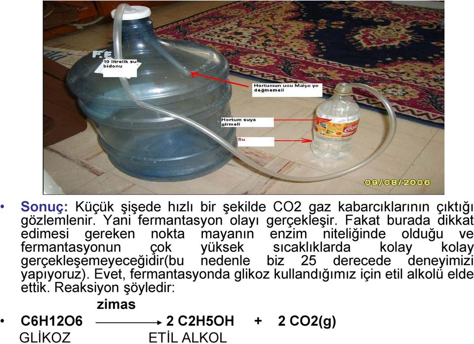 Fakat burada dikkat edimesi gereken nokta mayanın enzim niteliğinde olduğu ve fermantasyonun çok yüksek