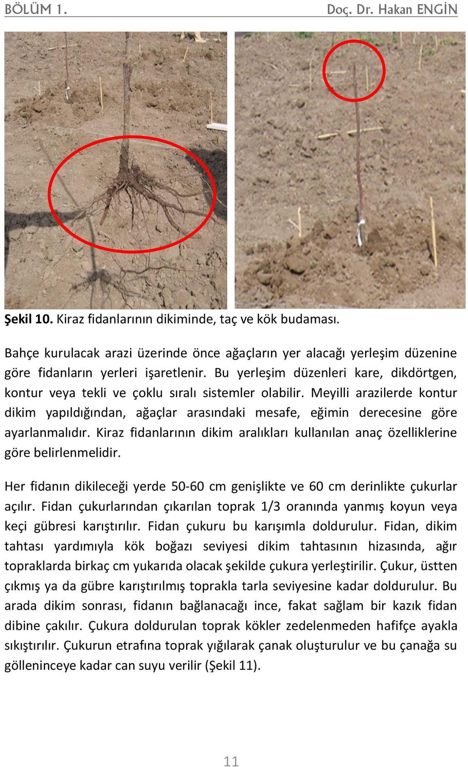 Bu yerleşim düzenleri kare, dikdörtgen, kontur veya tekli ve çoklu sıralı sistemler olabilir.