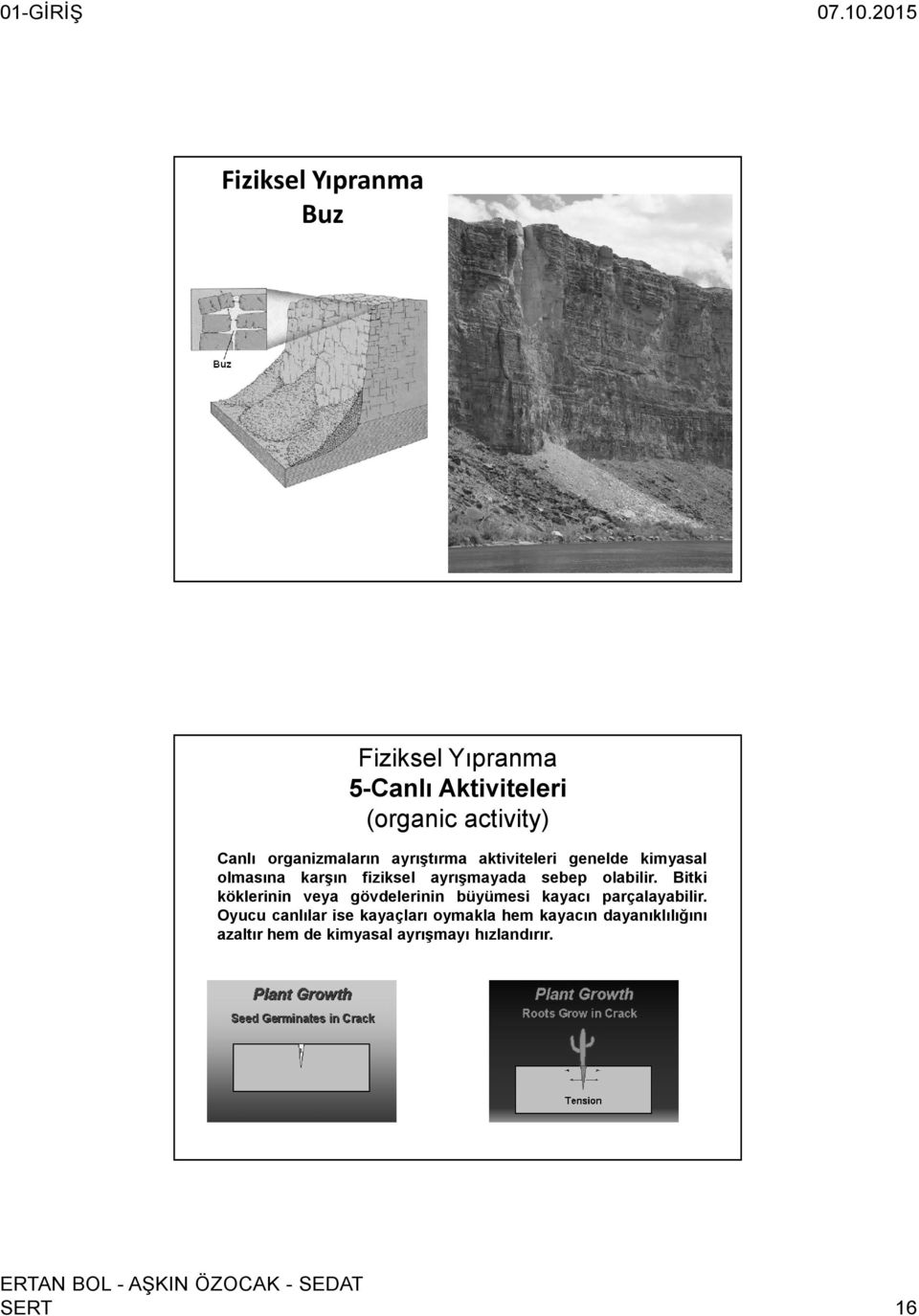 sebep olabilir. Bitki köklerinin veya gövdelerinin büyümesi kayacı parçalayabilir.