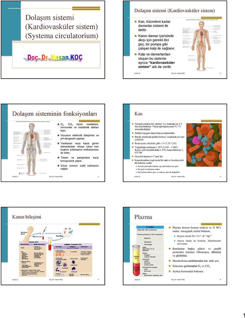 Hasan KOÇ 2 Dolaşım sisteminin fonksiyonları Kan O 2, CO 2 besin maddeleri, hormonlar ve metabolik atıkları taşır, Vücudun elektrolit bileşimini ve ph dengesini ayarlar, Yaralanan veya hasar gören