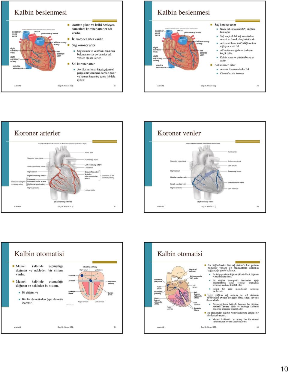 Sol koroner arter Aortik similunar kapakçığın sol parçasının yanından aorttan çıkar ve hemen kısa süre sonra iki dala ayrılır. Aralık 12 Doç. Dr.