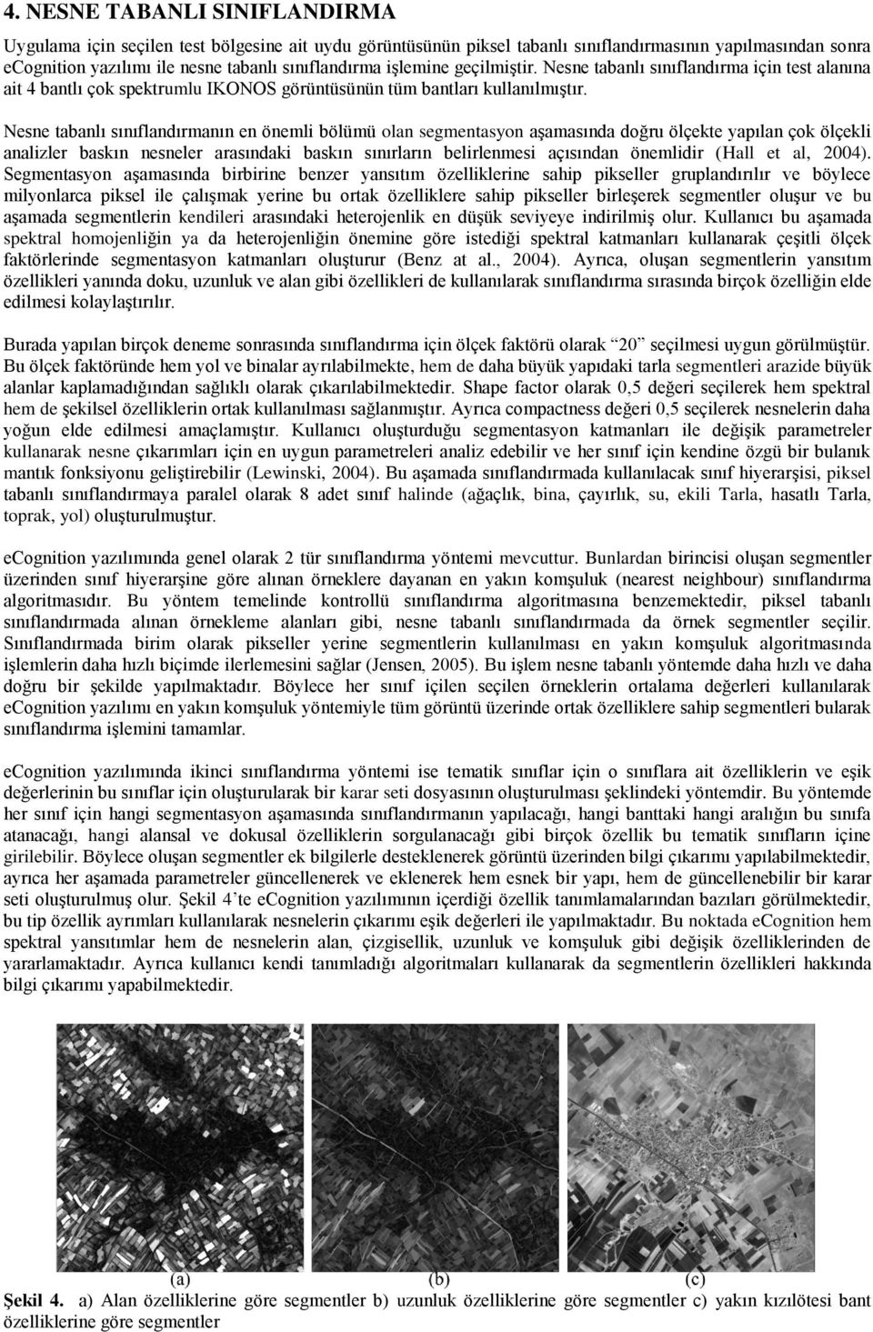 Nesne tabanlı sınıflandırmanın en önemli bölümü olan segmentasyon aşamasında doğru ölçekte yapılan çok ölçekli analizler baskın nesneler arasındaki baskın sınırların belirlenmesi açısından önemlidir