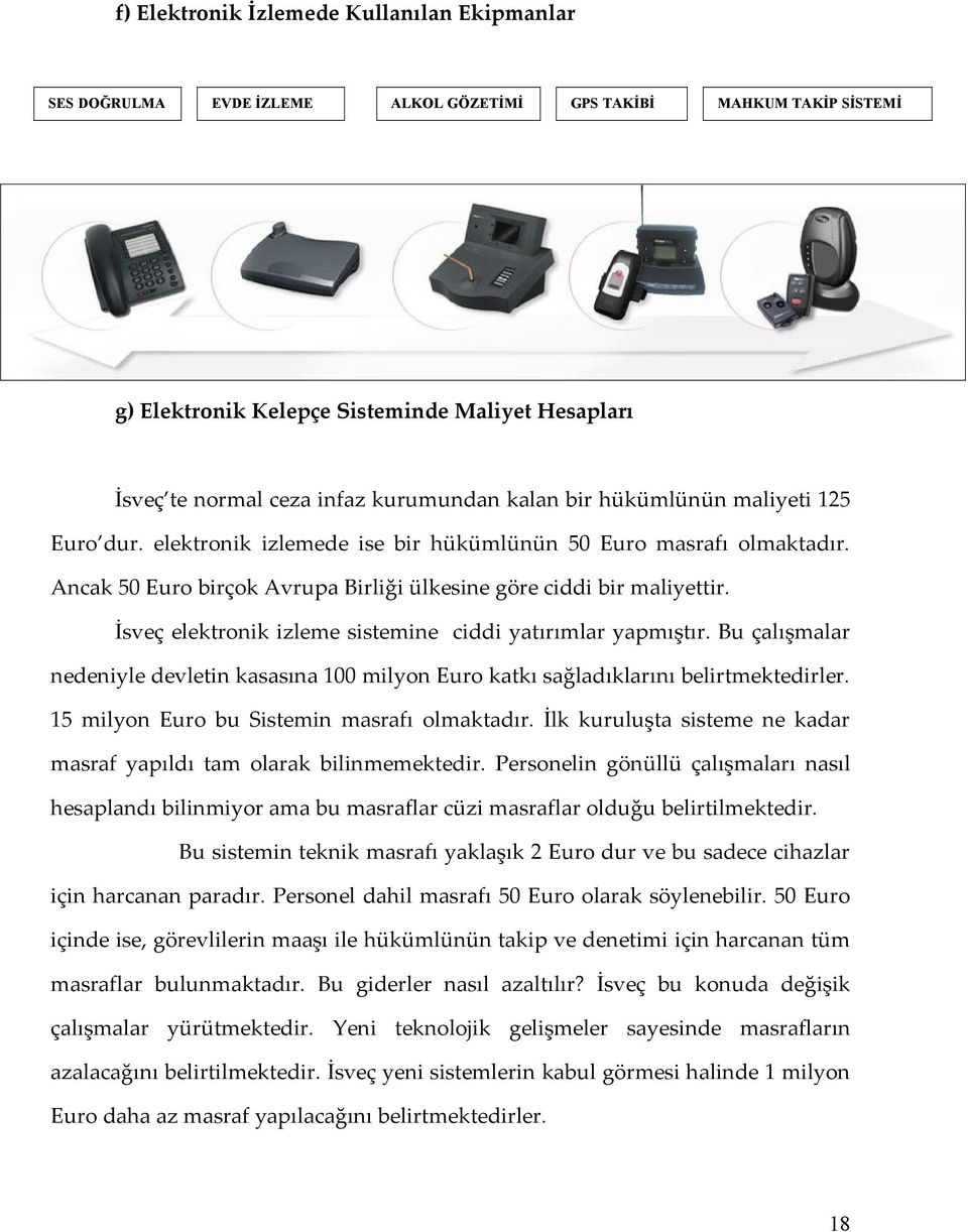 İsveç elektronik izleme sistemine ciddi yatırımlar yapmıştır. Bu çalışmalar nedeniyle devletin kasasına 100 milyon Euro katkı sağladıklarını belirtmektedirler.