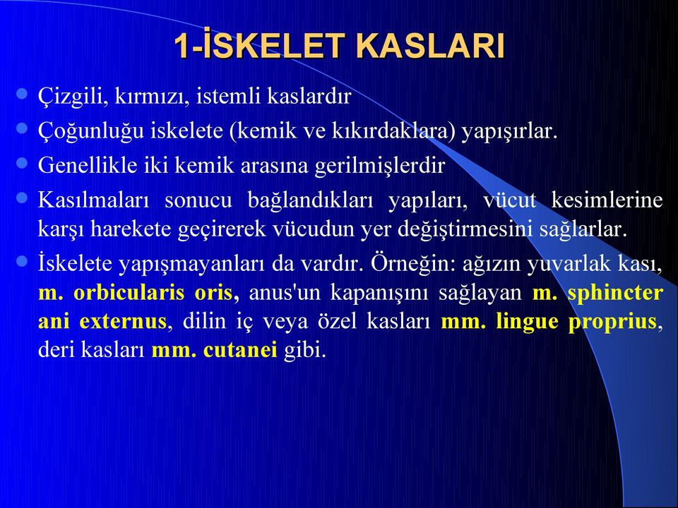 geçirerek vücudun yer değiştirmesini sağlarlar. İskelete yapışmayanları da vardır. Örneğin: ağızın yuvarlak kası, m.