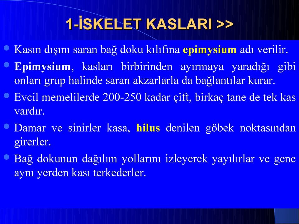 bağlantılar kurar. Evcil memelilerde 200-250 kadar çift, birkaç tane de tek kas vardır.