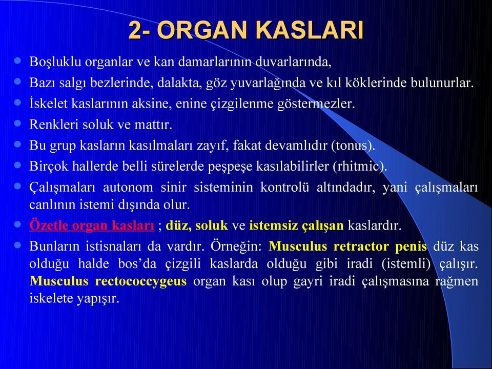 Birçok hallerde belli sürelerde peşpeşe kasılabilirler (rhitmic). Çalışmaları autonom sinir sisteminin kontrolü altındadır, yani çalışmaları canlının istemi dışında olur.