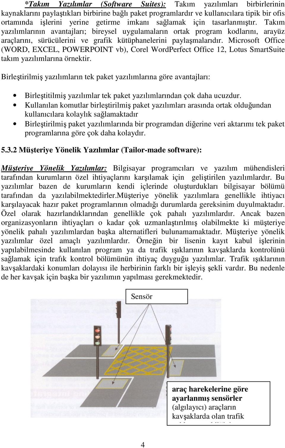 Microsoft Office (WORD, EXCEL, POWERPOINT vb), Corel WordPerfect Office 12, Lotus SmartSuite takım yazılımlarına örnektir.