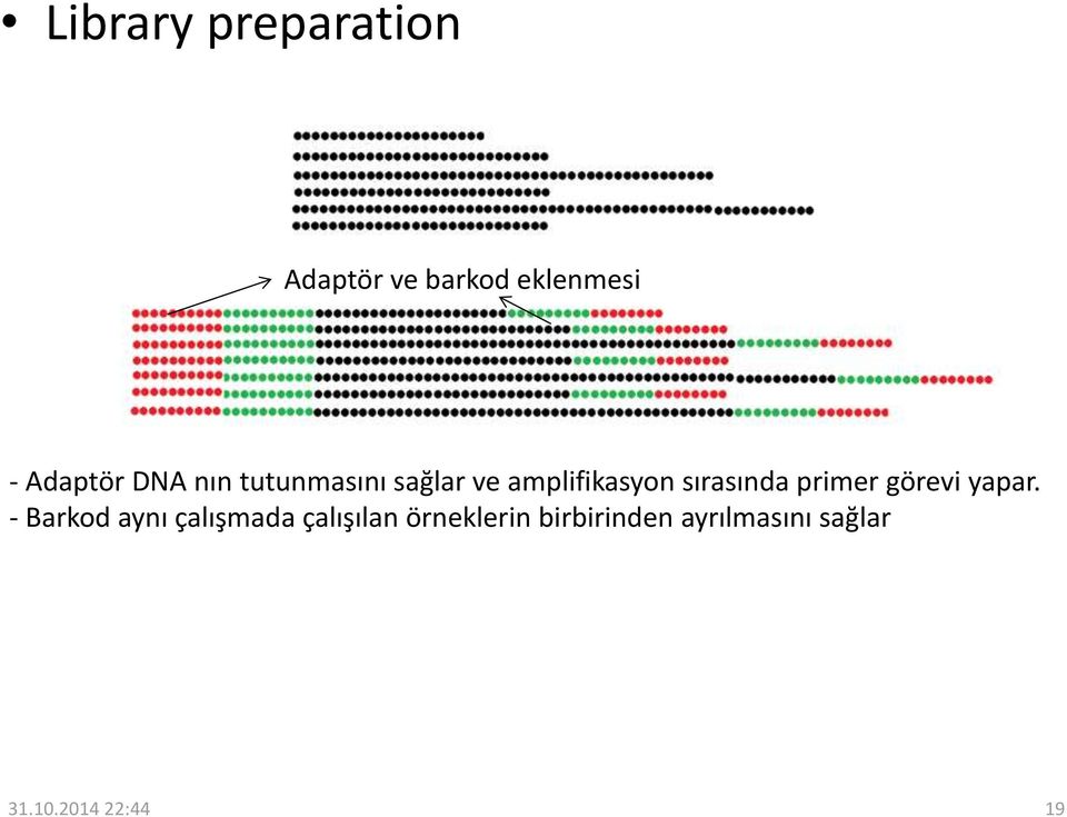 sırasında primer görevi yapar.