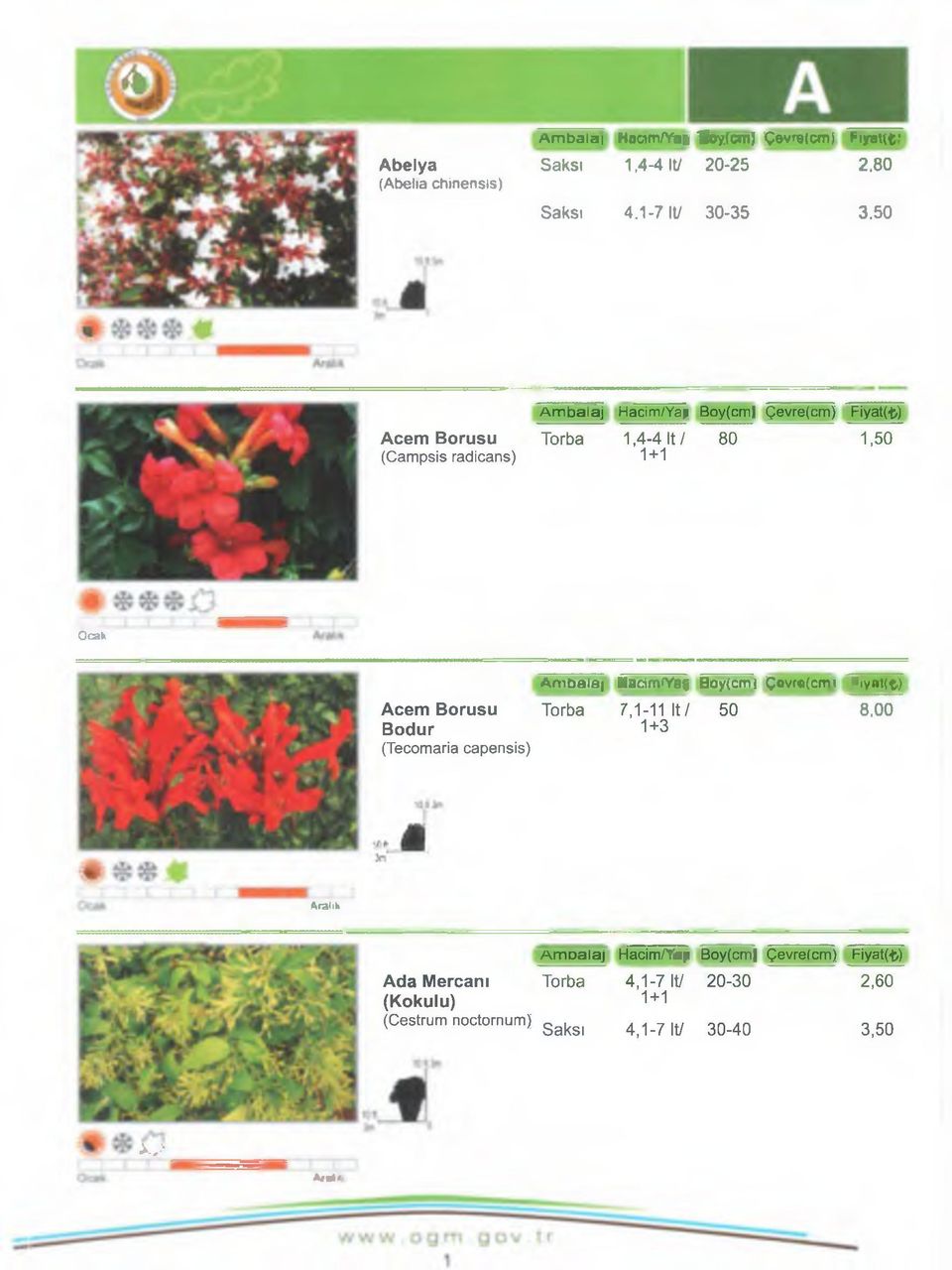 Bodur (Tecomaria capensis) A nıüalaı acimivaf Boyfcmı Çovr«(cm ı Pıynl(t) 7,1-11 İt / 50 8,00 1+3 A r a lık Ada