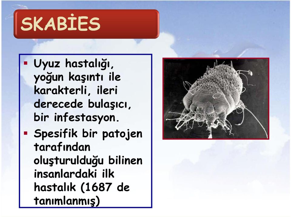 Spesifik bir patojen tarafından oluşturulduğu