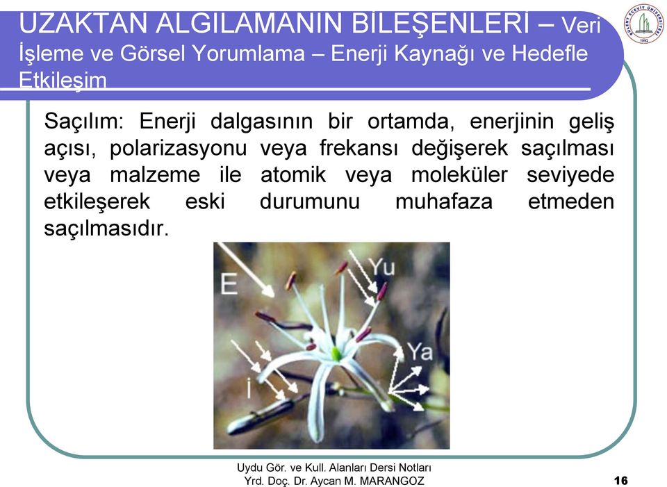 açısı, polarizasyonu veya frekansı değişerek saçılması veya malzeme ile atomik