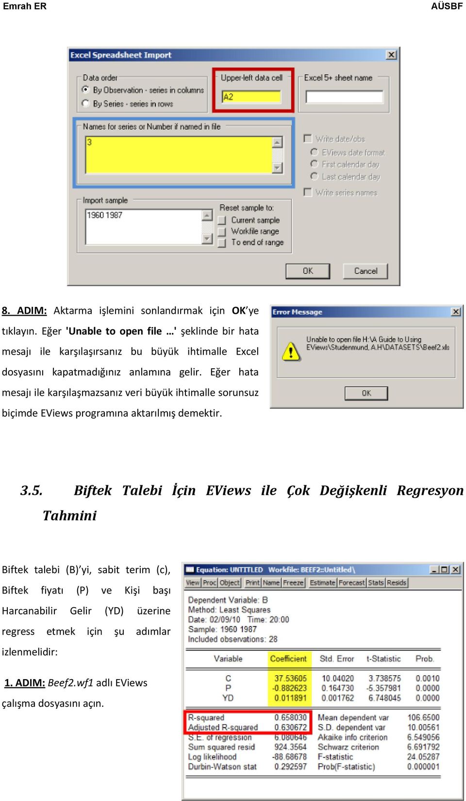 Eğer hata mesajı ile karşılaşmazsanız veri büyük ihtimalle sorunsuz biçimde EViews programına aktarılmış demektir. 3.5.