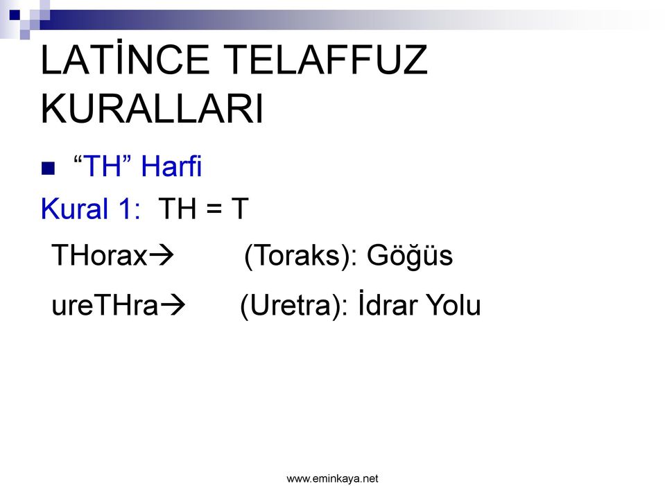 1: TH = T THorax urethra