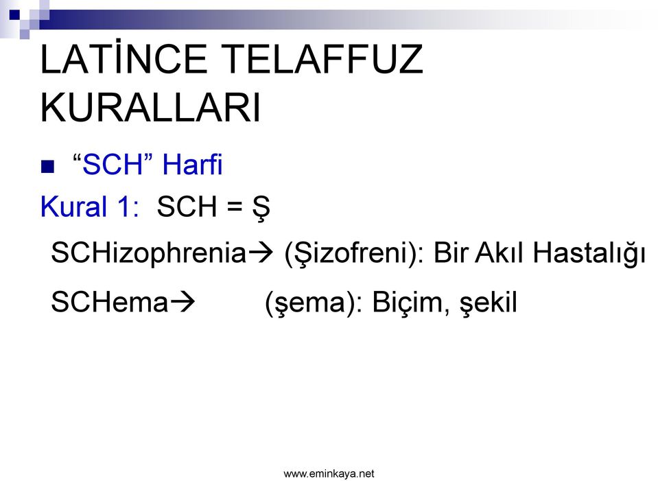 SCHizophrenia (Şizofreni): Bir