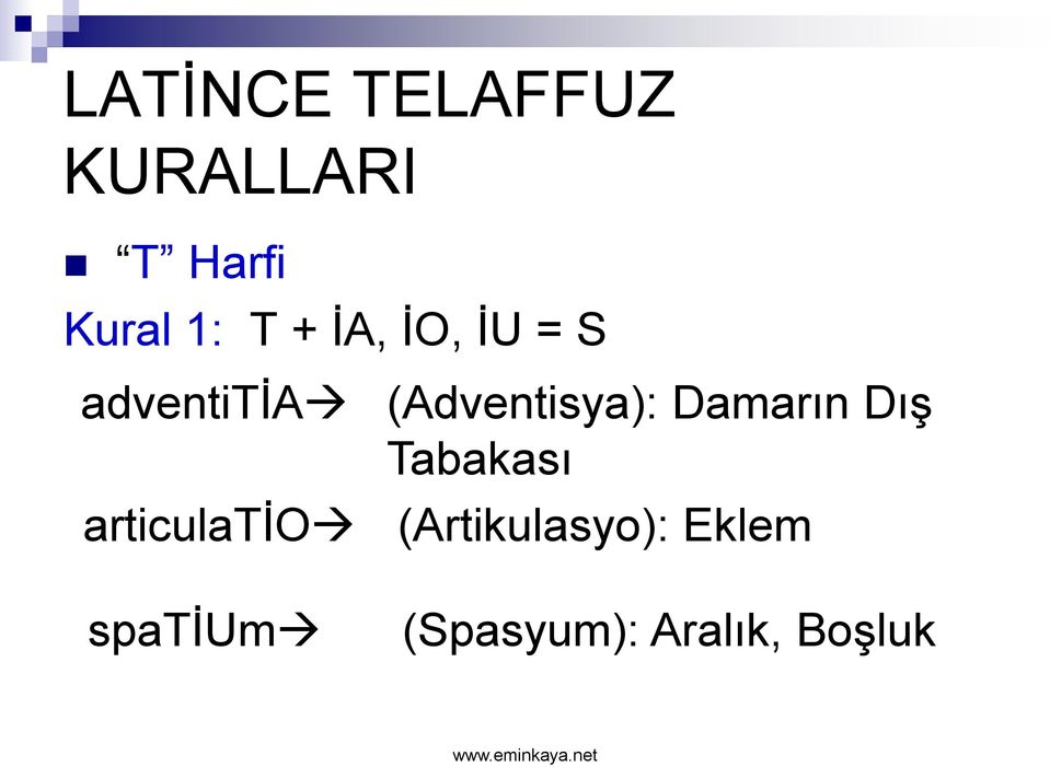 Damarın Dış Tabakası articulatio