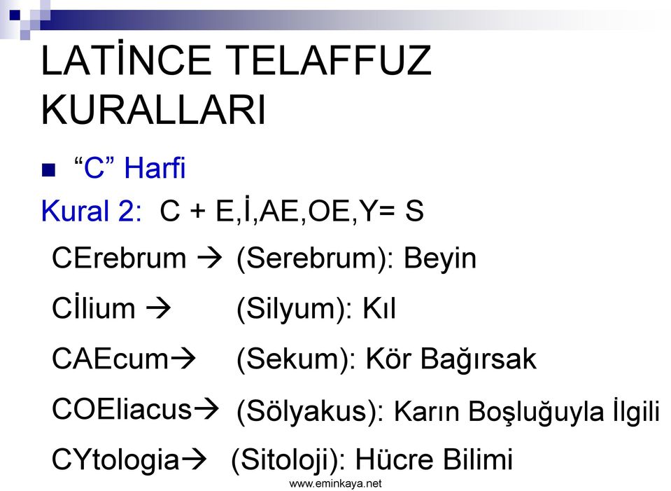 CAEcum COEliacus CYtologia (Silyum): Kıl (Sekum): Kör