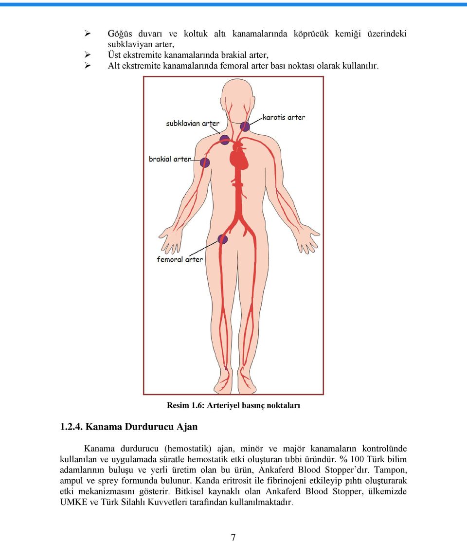 6: Arteriyel basınç noktaları Kanama durdurucu (hemostatik) ajan, minör ve majör kanamaların kontrolünde kullanılan ve uygulamada süratle hemostatik etki oluşturan tıbbi üründür.