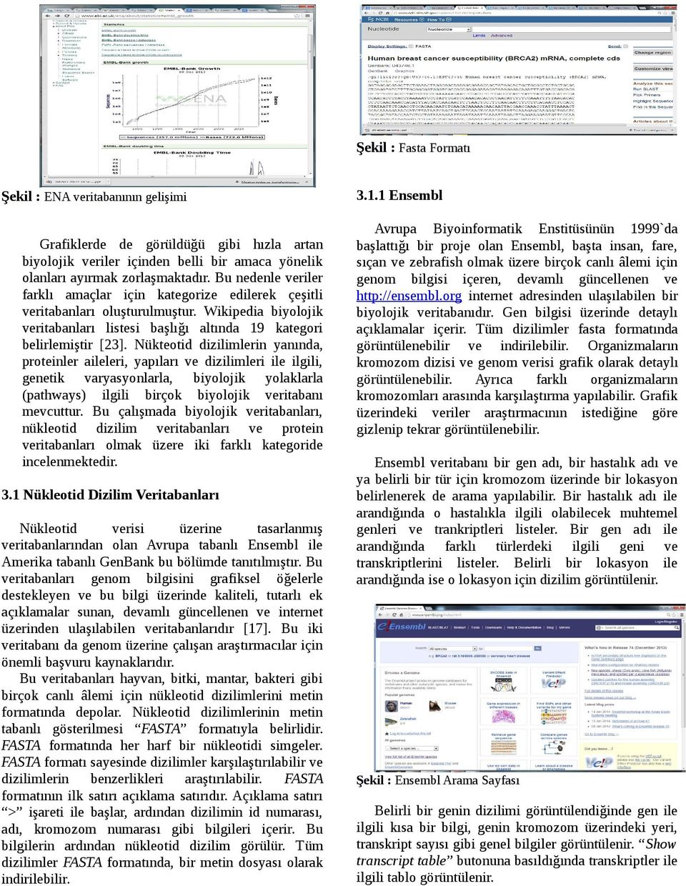 Nükteotid dizilimlerin yanında, proteinler aileleri, yapıları ve dizilimleri ile ilgili, genetik varyasyonlarla, biyolojik yolaklarla (pathways) ilgili birçok biyolojik veritabanı mevcuttur.