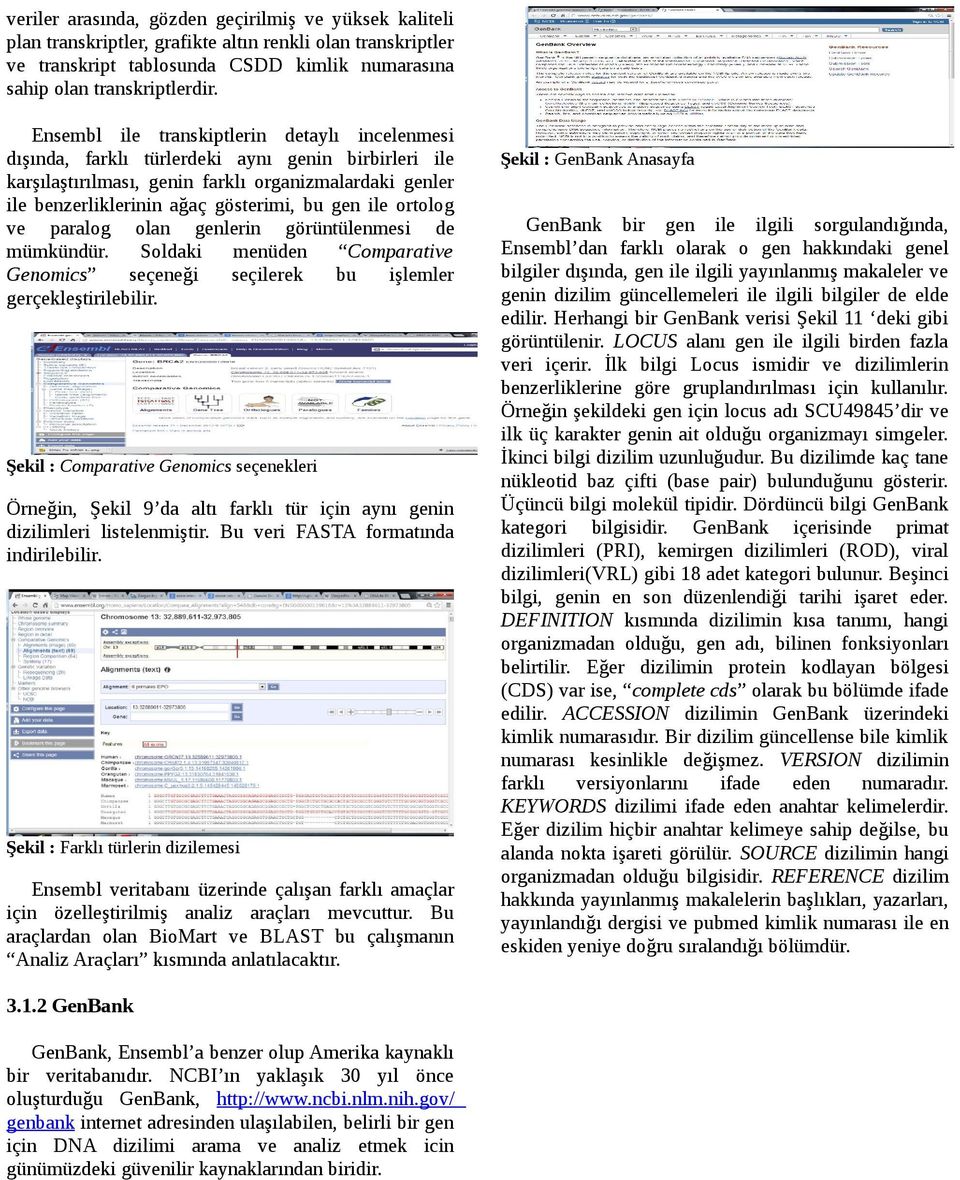 ile ortolog ve paralog olan genlerin görüntülenmesi de mümkündür. Soldaki menüden Comparative Genomics seçeneği seçilerek bu işlemler gerçekleştirilebilir.