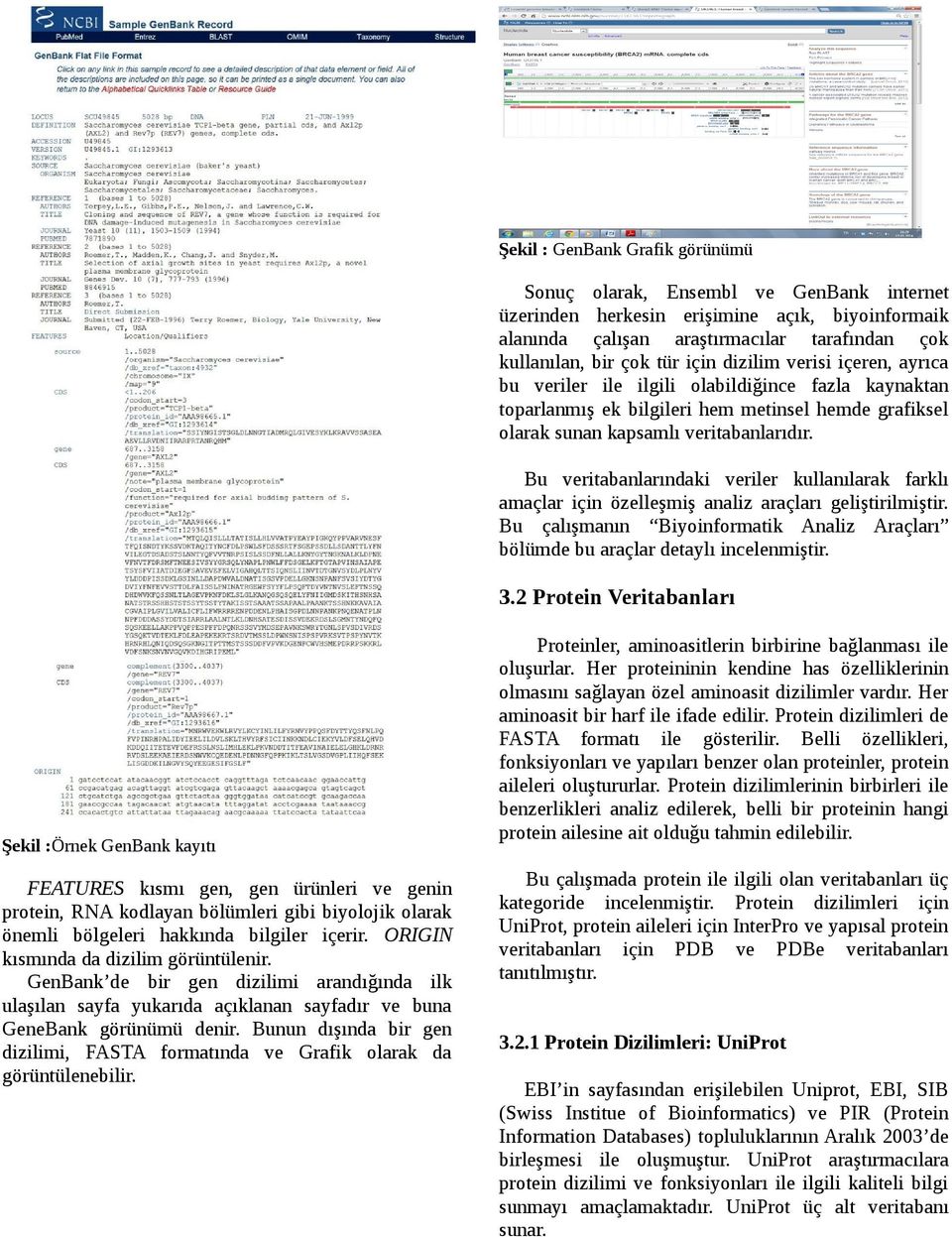 Bu veritabanlarındaki veriler kullanılarak farklı amaçlar için özelleşmiş analiz araçları geliştirilmiştir. Bu çalışmanın Biyoinformatik Analiz Araçları bölümde bu araçlar detaylı incelenmiştir. 3.