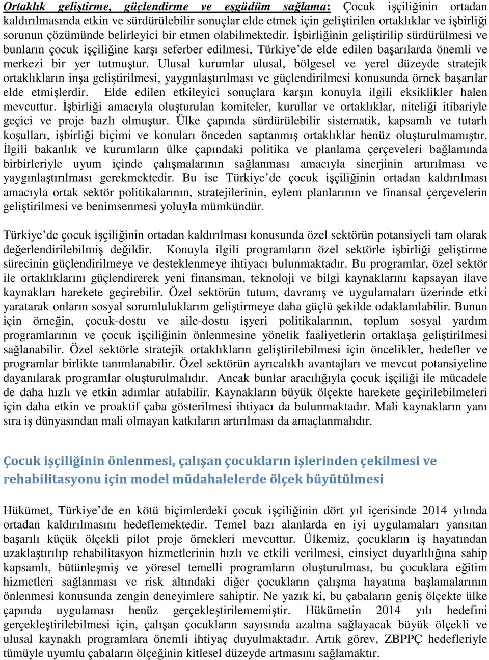 İşbirliğinin geliştirilip sürdürülmesi ve bunların çocuk işçiliğine karşı seferber edilmesi, Türkiye de elde edilen başarılarda önemli ve merkezi bir yer tutmuştur.