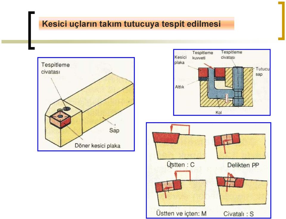 takım