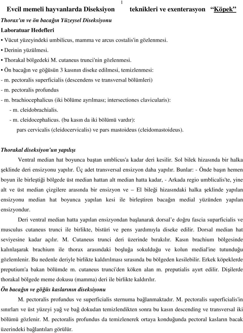 pectoralis superficialis (descendens ve transversal bölümleri) - m. pectoralis profundus - m. brachiocephalicus (iki bölüme ayrılması; intersectiones clavicularis): - m. cleidobrachialis. - m. cleidocephalicus.