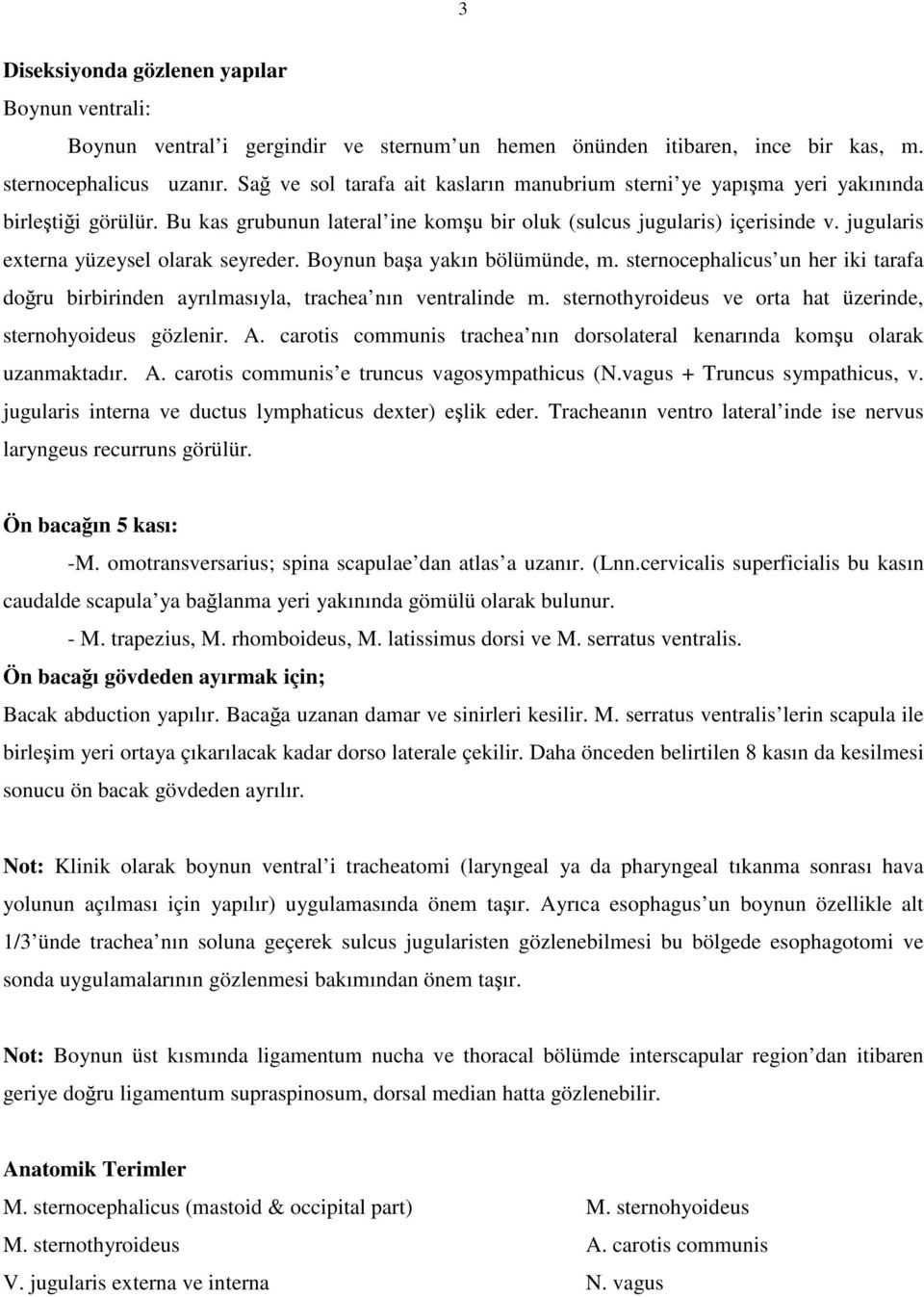 jugularis externa yüzeysel olarak seyreder. Boynun başa yakın bölümünde, m. sternocephalicus un her iki tarafa doğru birbirinden ayrılmasıyla, trachea nın ventralinde m.